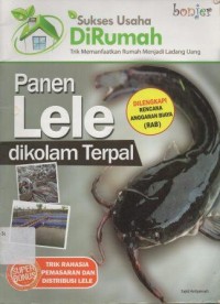 Panen Lele Di Kolam Terpal