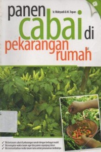 Panen Cabai di Pekarangan Rumah