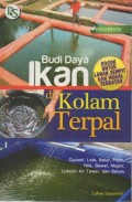 Budi Daya Ikan di Kolam Terpal