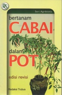 Bertanam Cabai Dalam Pot