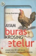 Ayam Buras Krosing Petelur