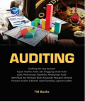 Auditing