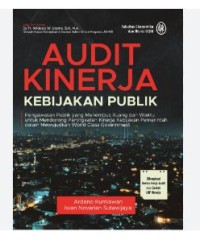 Audit Kinerja Kebijakan Publik