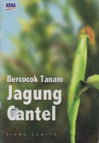 Bercocok Tanam Jagung Cantel