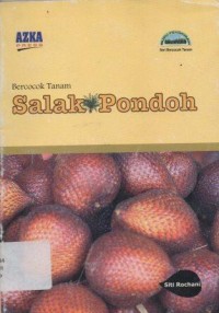 Bercocok Tanam Salak Pondoh