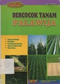 Bercocok Tanam Palawija