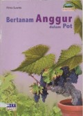 Bertanam Anggur Dalam Pot