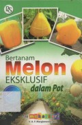 Bertanam Melon Ekslusif Dalam Pot