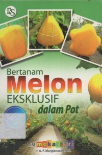 Image of Bertanam Melon Ekslusif Dalam Pot