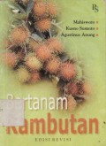 Bertanam Rambutan