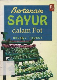 Bertanam Sayur Dalam Pot