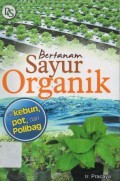 Bertanam Sayur Organik