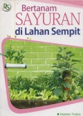 Bertanam Sayuran Di Lahan Sempit