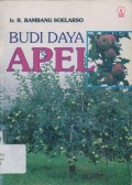 Budi Daya Apel