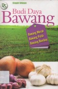 Budi Daya Bawang