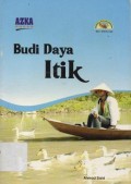 Budi Daya Itik