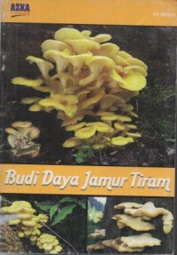 Budi Daya Jamur Tiram