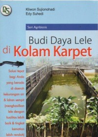 Budi Daya Lele Di Kolam Karpet