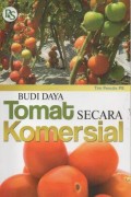 Budi Daya Tomat Secara Komersial