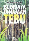 Budidaya Tanaman tebu