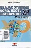 Belajar Otodidak Word, Exel,Power Point XP PLus Internet