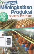 Sukses Meningkatkan Produksi Ayam Petelur