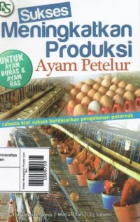 Sukses Meningkatkan Produksi Ayam Petelur