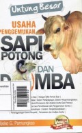 Untung Besar Usaha Pengemukan Sapi Potong Dan Domba