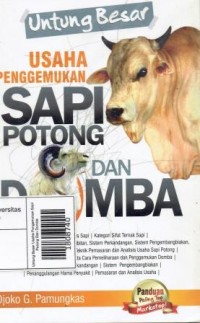 Untung Besar Usaha Pengemukan Sapi Potong Dan Domba