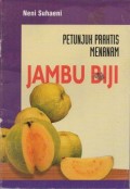 Petunjuk Praktis Menanam Jambu Biji