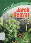 Jarak Kepyar:Tanaman Penghasil Minyak Kastor