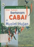 Kiat Sukses Bertanam Cabai Di Musim Hujan