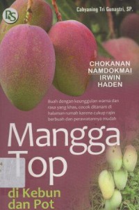 Mangga Top Di Kebun dan Pot