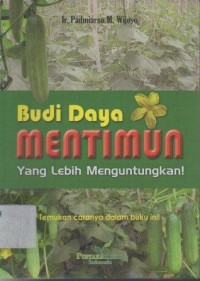 Budi Daya Mentimun yang Lebih Menguntungkan