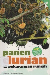 Panen Durian Di Perkarangan Rumah