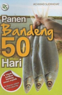 Panen Bandeng 50 Hari