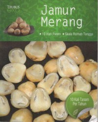 Jamur Merang