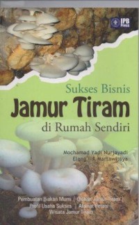 Sukses Bisnis Jamur Tiram di Rumah Sendiri