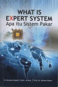 What Is Expert System Apa Itu Sistem Pakar