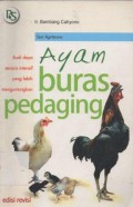 Ayam Buras Pedaging : Budi Daya Secara Intensif yang Lebih Menguntungkan