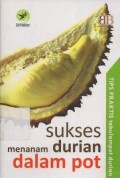 Sukses Menanam Durian Dalam Pot