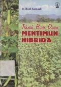 Teknik Budi Daya Mentimun Hibrida