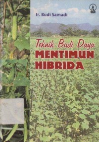 Teknik Budi Daya Mentimun Hibrida