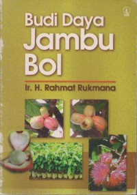 Budi Daya Jambu Bol