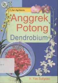 Anggrek Potong Dendrobium