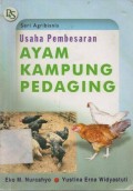 Usaha Pembesaran Ayam Kampung Pedaging