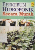 Berkebun Hidroponik Secara Murah