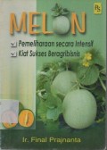 Melon