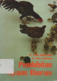 Pembibitan Ayam Buras