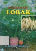 Bertanam Lobak